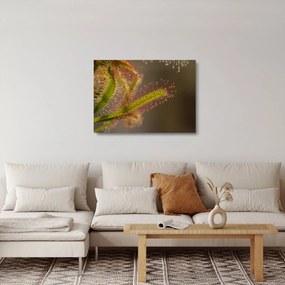 Tablou pe sticlă cu plantă (70x50 cm)