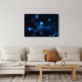 Tablou - Meduză (90x60 cm)