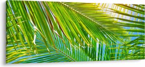Tablou - Frunze de palmier (120x50 cm)