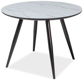 Masă de sufragerie Irina (alb + negru) (pentru 4 persoane). Promo -6%. 1050328