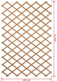 Nature Spalier de gradina, natural, 100 x 200 cm, lemn, 6041703