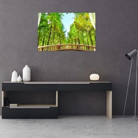 Tablou - Privire spre pădure (90x60 cm)