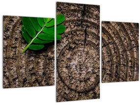 Tablou cu frunză pe trunchi de copac (90x60 cm)