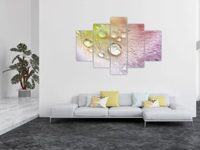 Tablou - Picături (150x105 cm)