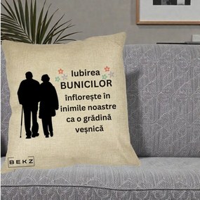 Cadou pentru Bunici - Perna Personalizata Bunicii Iubirea Infloreste Silueta Neagra Flori, 40x40 cm, Crem, Husa Detasabila, Perna Inclusa, BEKZ®