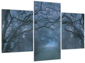 Tablou - Pădurea în ceață (90x60 cm)