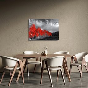 Tablou pe sticlă - Copaci în culorile toamnei (70x50 cm)