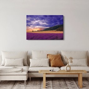 Tablou cu lunca cu lavandă (90x60 cm)