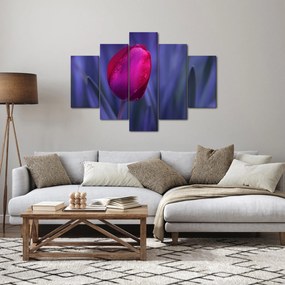 Tablou mugure de lalea (150x105 cm)