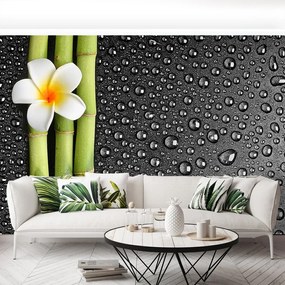 Fototapet frangipani flori