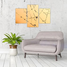 Tablou cu pânză de pâianjen cu rouă (90x60 cm)