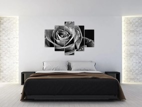 Tablou - Trandafir,alb-negru (150x105 cm)