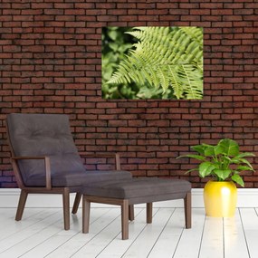 Tablou - Frunză de ferigă (70x50 cm)