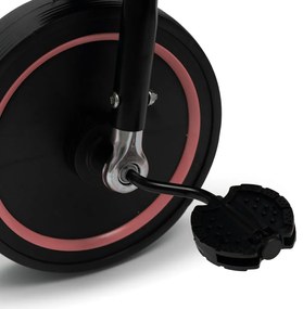 Baby Mix Triciclu pentru copii Peony EVA, roz