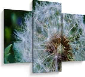 Tabloul cu păpădie desflorit (90x60 cm)