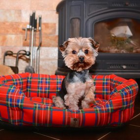 Culcuş pentru câine SCOTTY mărime M - 65 x 50 cm