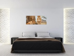 Tablou - două leoaice (120x50 cm)