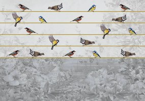 Fototapet - Păsări pe ață aurie (254x184 cm)
