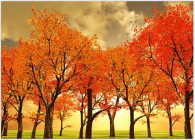 Tablou - Toamna (70x50 cm)