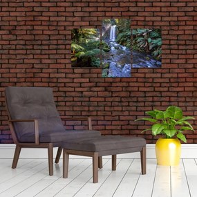 Tablou cu pădurea ploilor din Austalia (90x60 cm)