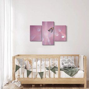 Tablou - Fluture (90x60 cm)