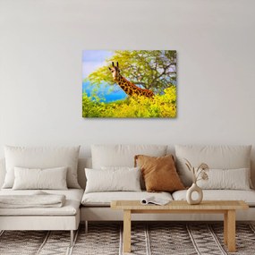 Tablou - Girafa în Africa (70x50 cm)