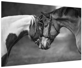 Tablou - Cai îndrăgostiți,alb-negru (90x60 cm)