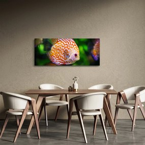 Tablou cu pește (120x50 cm)