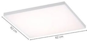 Panou LED dimabil FRAMELESS LED/35W/230V + telecomandă Paul Neuhaus 8492-16