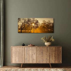 Tablou - Răsărit de soare (120x50 cm)