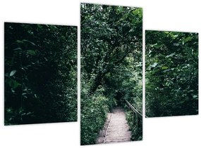 Tablou - Drumul prin pădure (90x60 cm)