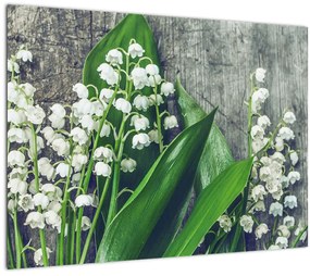 Tablou pe sticlă cu lăcrimioare (70x50 cm)