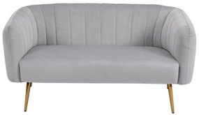 HOMCOM Canapea 2 Locuri Design Modern Captusita cu Cotiere si Spatar, Gri
