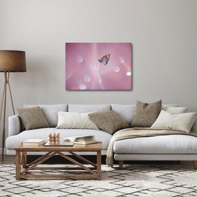 Tablou - Fluturele (70x50 cm)