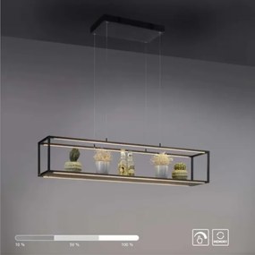 Lustră LED dimabilă pe cablu CONTURA 4xLED/8W/230V Paul Neuhaus 2441-18