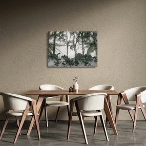 Tablou pe sticlă - Jungla în ceața dimineții (70x50 cm)