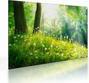 Tablou pe sticlă - Pajiște magică plină de păpădii (70x50 cm)