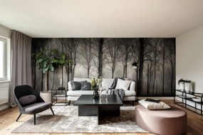 Fototapet, Row of Trees, Rebel Walls