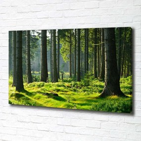 Pictură pe pânză Pădure de molid