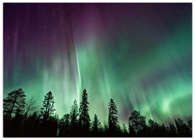 Tablou cu Northern Lights (70x50 cm)
