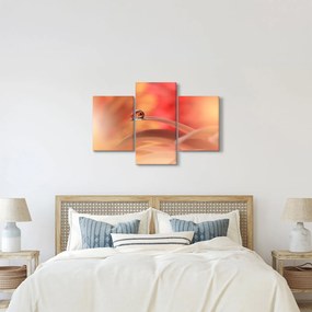Tablou picăturii de rouă pe floare (90x60 cm)
