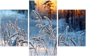 Tablou - Pajiște de iarnă (90x60 cm)