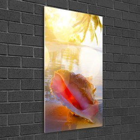 Tablou acrilic Seashell pe plaja