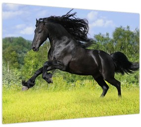 Tablou - Cal cu o coamă curgătoare (70x50 cm)