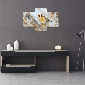 Tablou - Ciredeaua (90x60 cm)