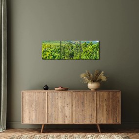Tablou - Babi Hora, Polonia (cu ceas) (90x30 cm)