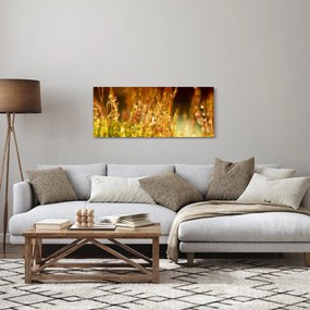 Tablou - Detaliu rouă (120x50 cm)
