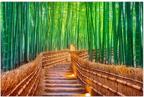 Tablou - Pădure de bambus japoneză (90x60 cm)