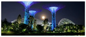 Tablou cu lună plină în grădinile din Singapur (120x50 cm)