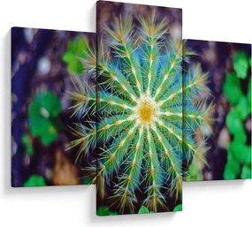 Tablou cu cactus (90x60 cm)